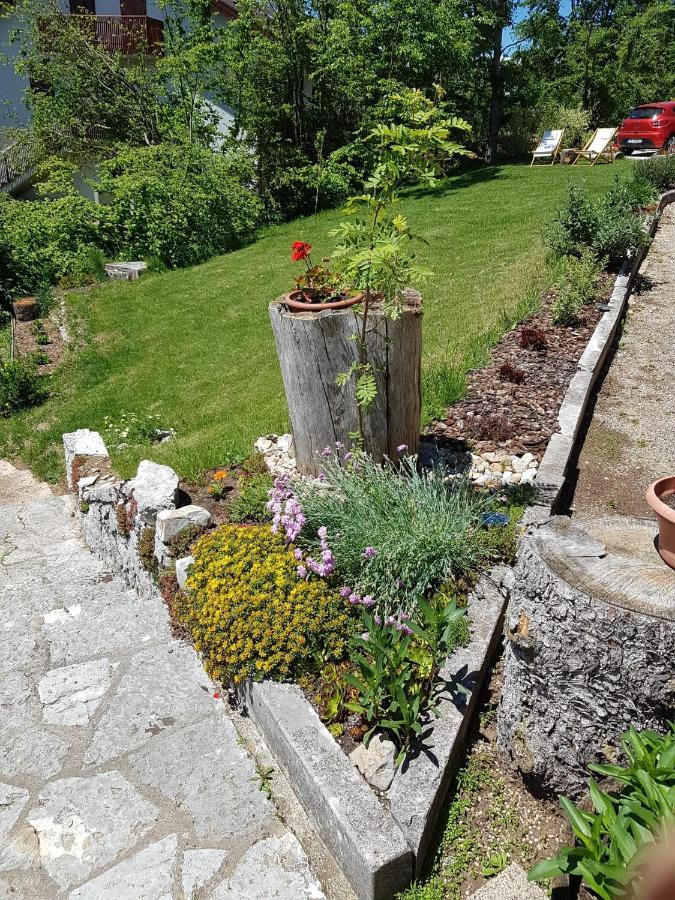 B&B I Faggi Lavarone Εξωτερικό φωτογραφία